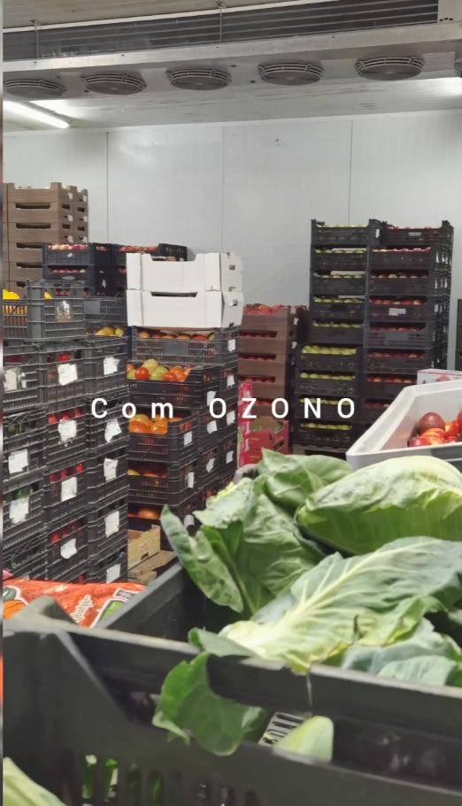 Geradores de OZONO: Veja como a Coutinho & Arezes cuida dos seus produtos