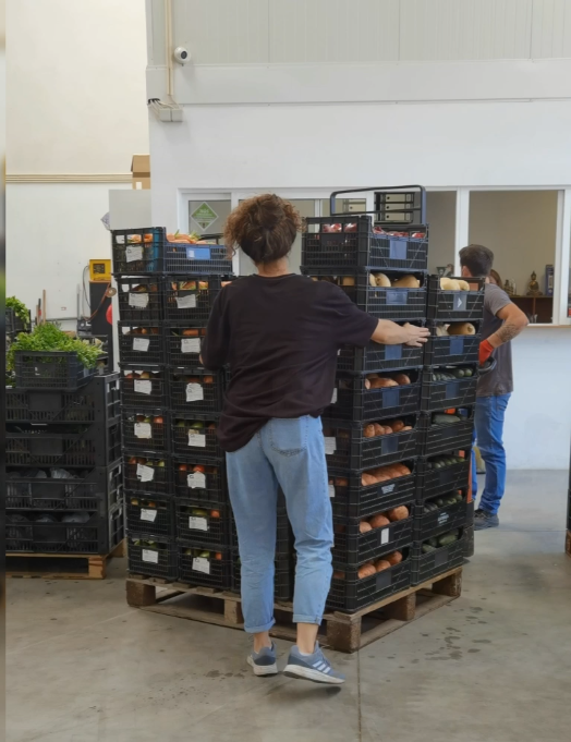 Geradores de OZONO: Veja como a Coutinho & Arezes cuida dos seus produtos